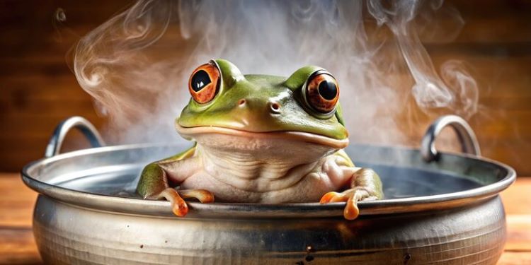 The Boiling Frog Metaphor and Other Idioms - St. Fratty's Day